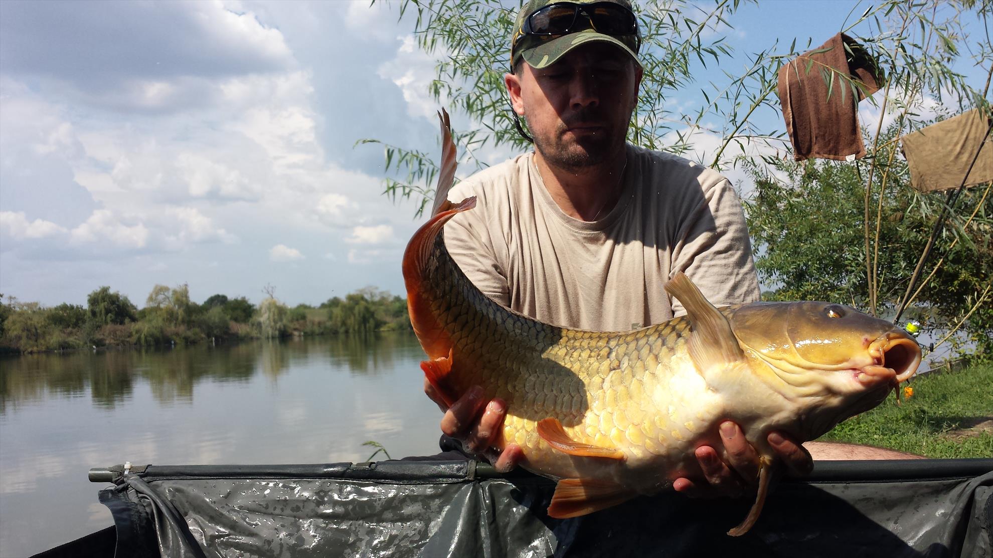 Hermes Peris 2 - 4 septembrie 2016 - 20160903141308.jpg